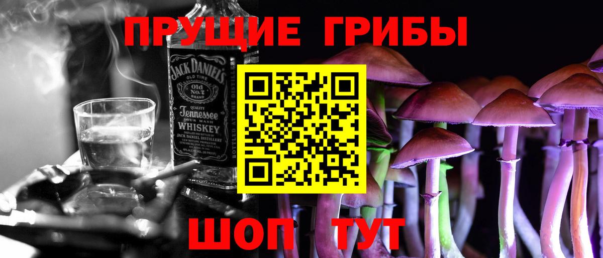 Галлюциногенные грибы прущие грибы  Вход с VPN  Алексеевка 